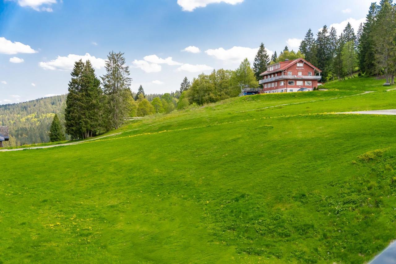 Auerhuhn Apartment Feldberg  Exterior foto